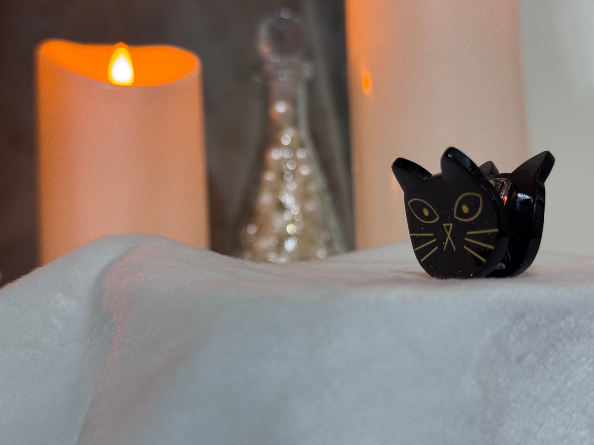 Cat Hair Clip